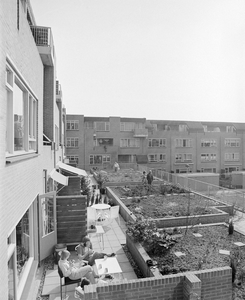 884823 Gezicht op enkele daktuinen bij een flatgebouw aan het Opsterland te Utrecht.